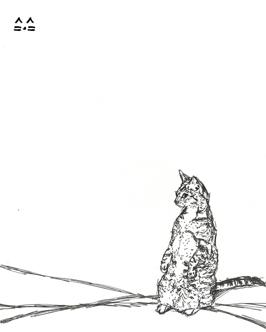 meerkat kitty